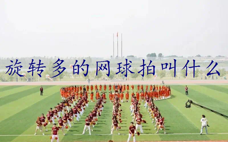 <strong>旋转多的网球拍叫什么</strong>