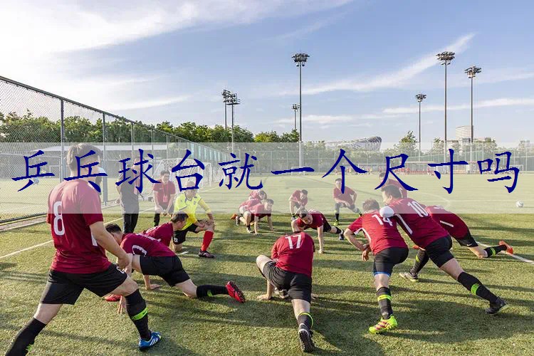 乒乓球台就一个尺寸吗
