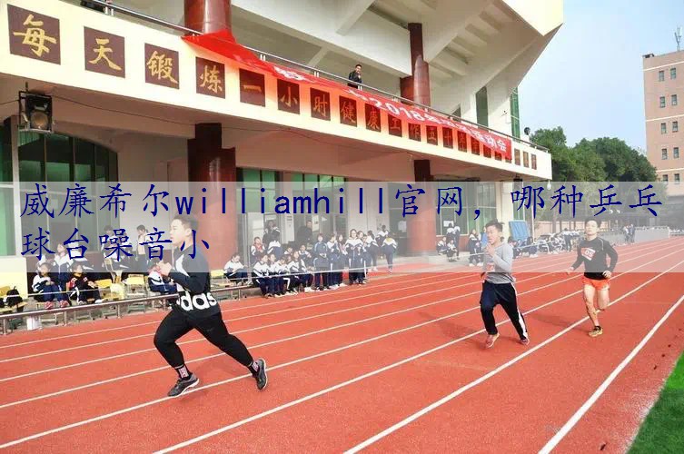 哪种乒乓球台噪音小