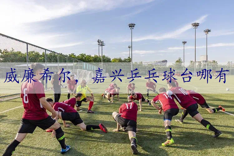 嘉兴乒乓球台哪有