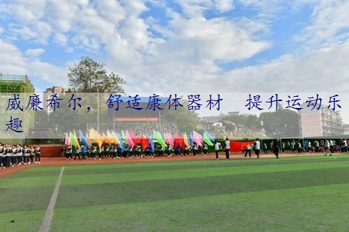 舒适康体器材  提升运动乐趣