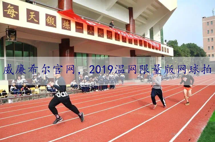 2019温网限量版网球拍