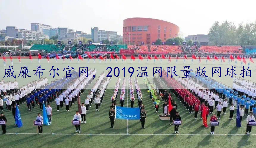 2019温网限量版网球拍