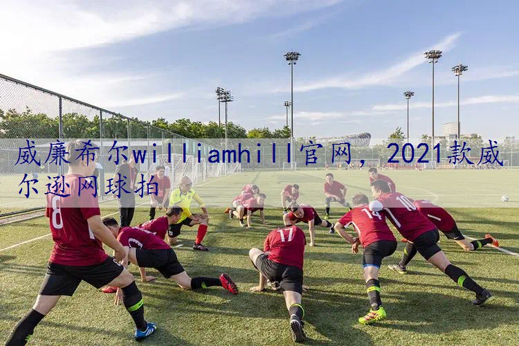 2021款威尔逊网球拍