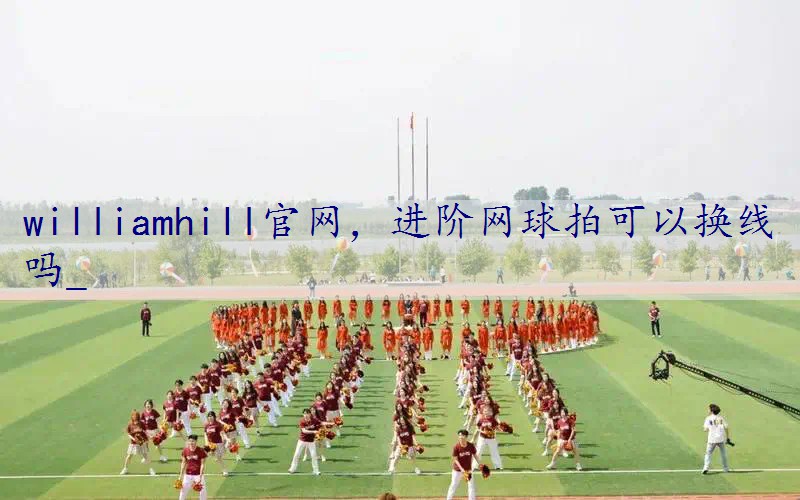 进阶网球拍可以换线吗_