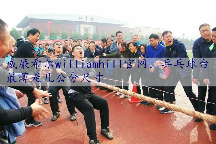 乒乓球台最薄是几公分尺寸