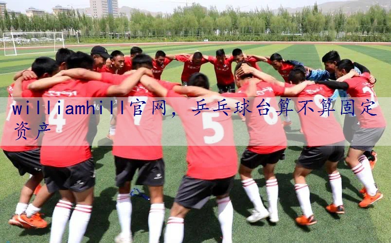 乒乓球台算不算固定资产
