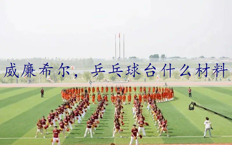 乒乓球台什么材料