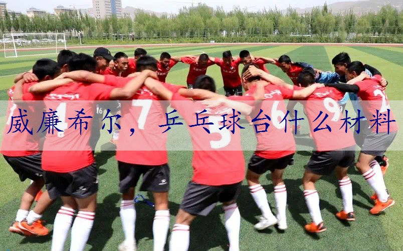 乒乓球台什么材料