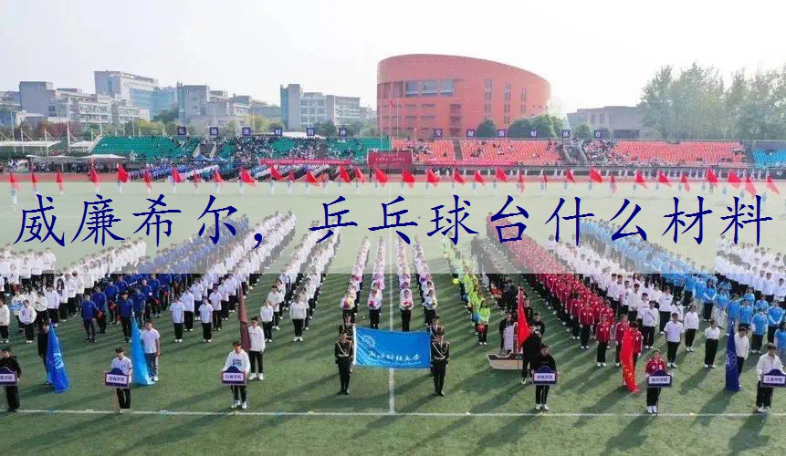 乒乓球台什么材料