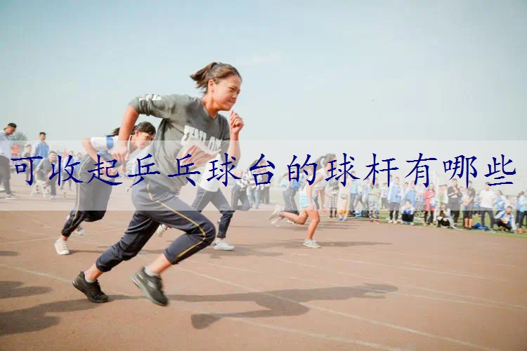 可收起乒乓球台的球杆有哪些