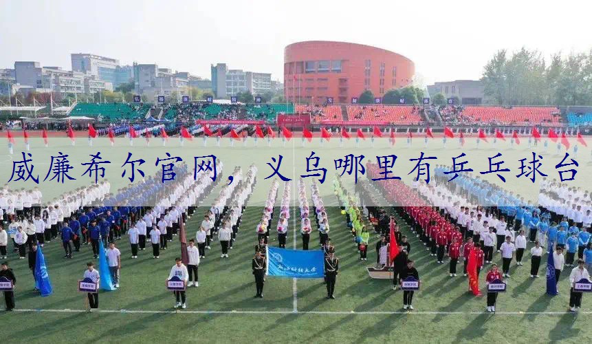 义乌哪里有乒乓球台