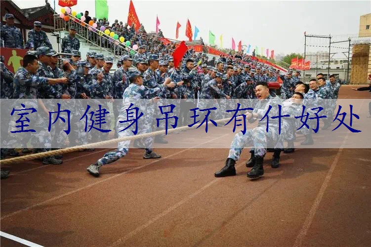室内健身吊环有什好处