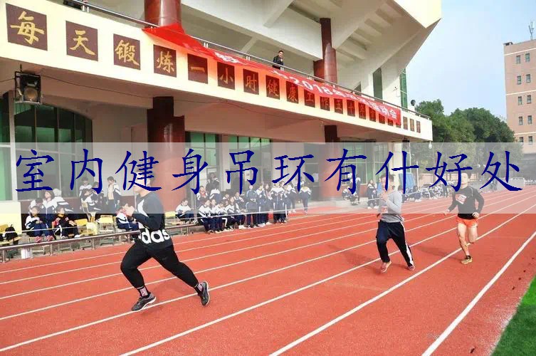 室内健身吊环有什好处