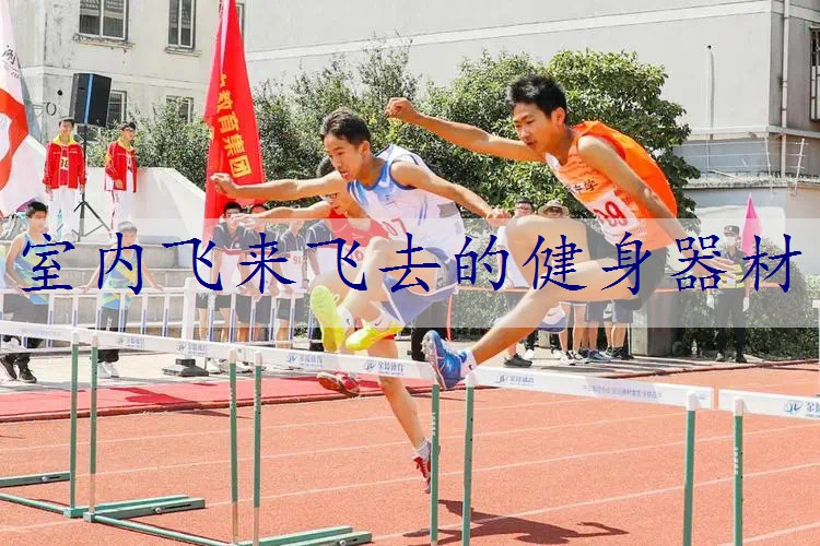 室内飞来飞去的健身器材